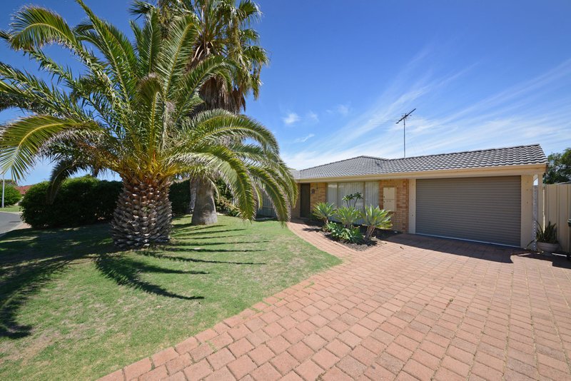 17 Trephina Mews, Clarkson WA 6030