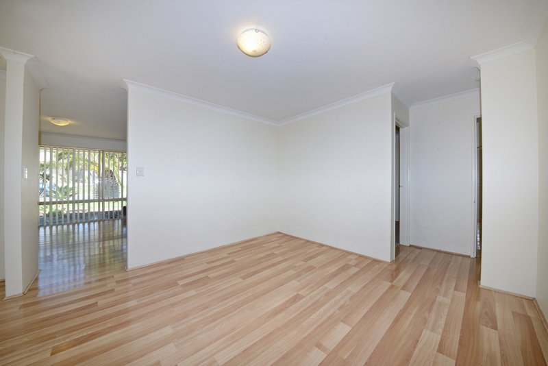 Photo - 17 Trephina Mews, Clarkson WA 6030 - Image 16