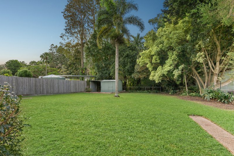 Photo - 17 Tulip Street, Cooroy QLD 4563 - Image 7