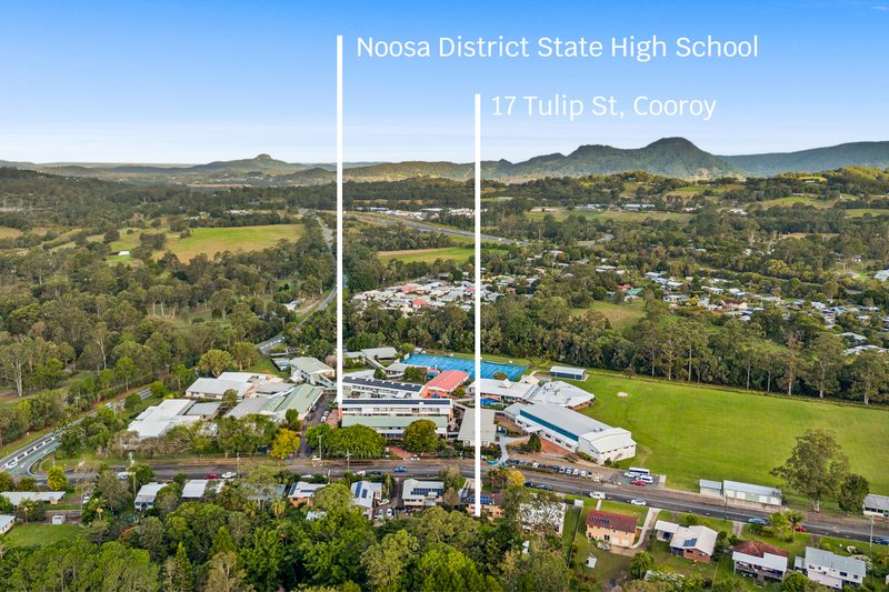 Photo - 17 Tulip Street, Cooroy QLD 4563 - Image 15