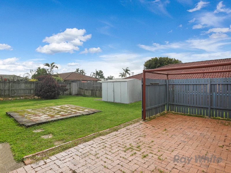 Photo - 17 Tulip Tree Road, Murrumba Downs QLD 4503 - Image 11