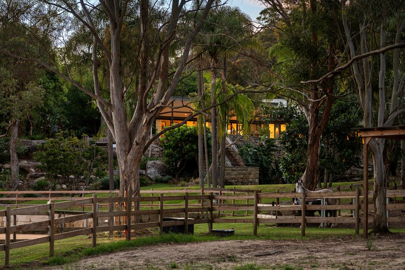 Photo - 17 Walter Road, Ingleside NSW 2101 - Image 25