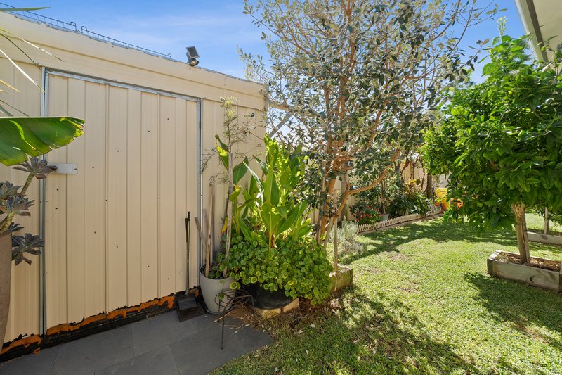 Photo - 17 Wanderer Parkway, Baldivis WA 6171 - Image 23