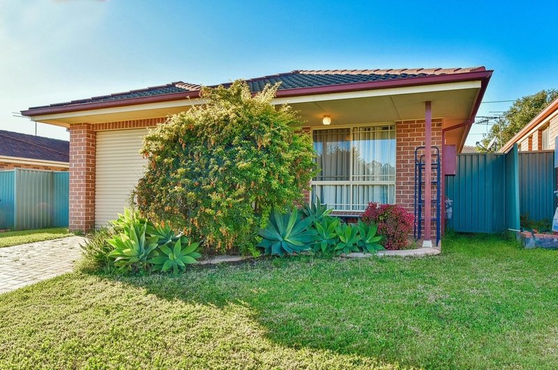 17 Webb Place, Minto NSW 2566