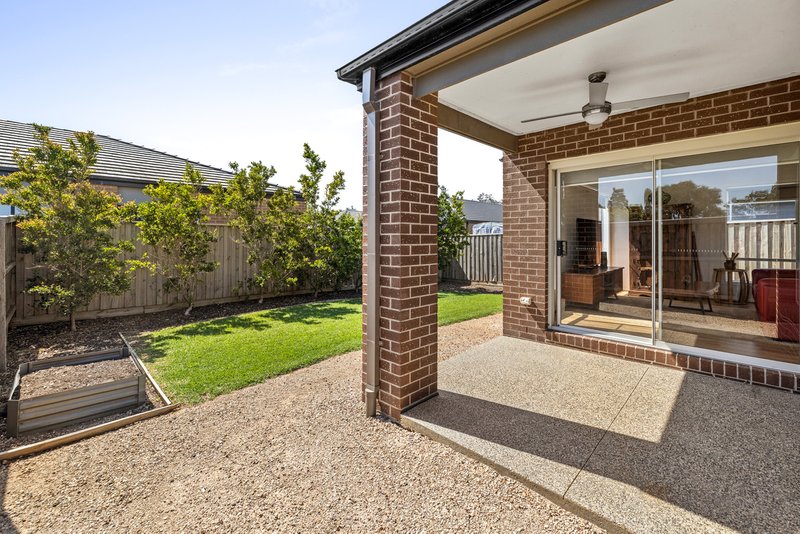 Photo - 17 Wedgebill Circuit, Werribee VIC 3030 - Image 14
