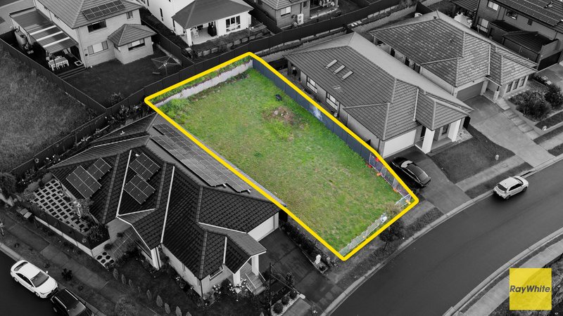 Photo - 17 Westview Street, Campbelltown NSW 2560 - Image 4