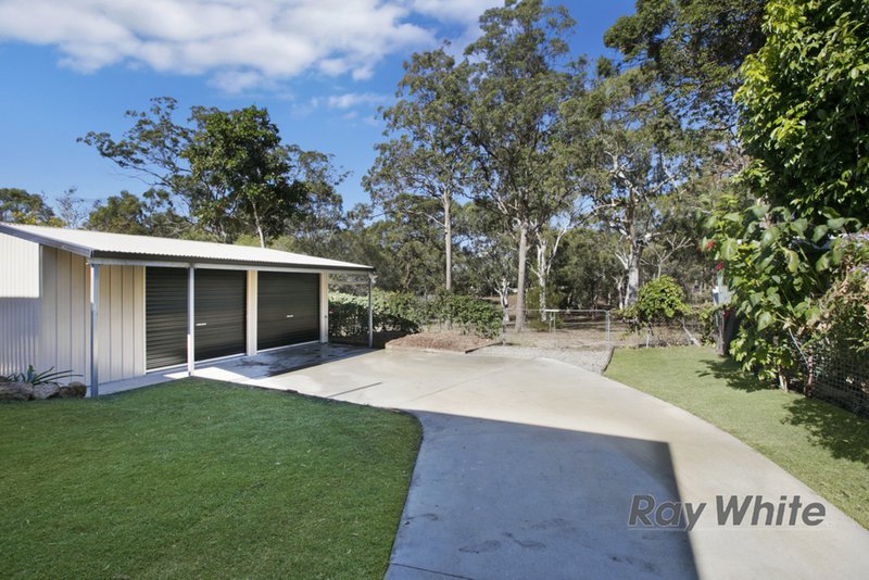 Photo - 17 William Street, Alexandra Hills QLD 4161 - Image 5