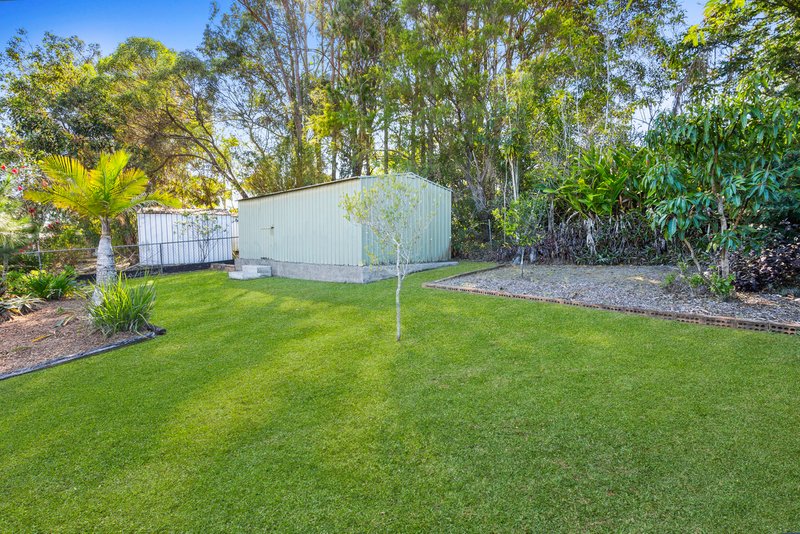 Photo - 17 Wimborne Road, Alexandra Hills QLD 4161 - Image 5