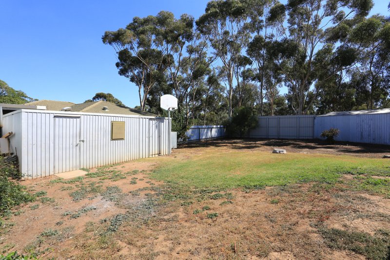 Photo - 17 Window Road, Willaston SA 5118 - Image 21