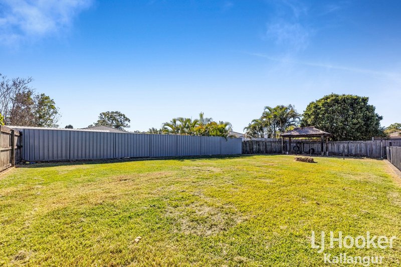 Photo - 17 Winter Road, Kallangur QLD 4503 - Image 4