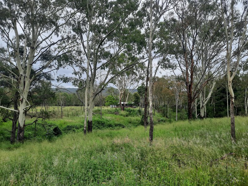 Photo - 17 Wonbah Rd , Wonbah QLD 4671 - Image 22