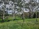 Photo - 17 Wonbah Rd , Wonbah QLD 4671 - Image 22