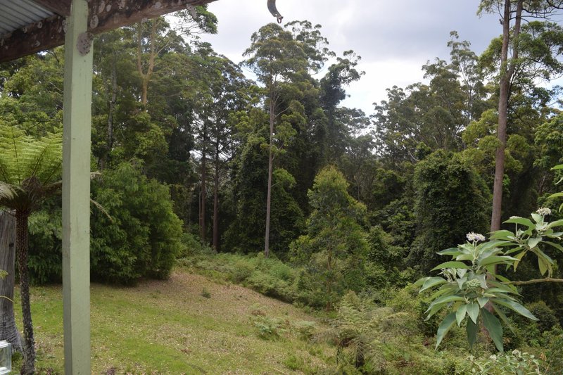 Photo - 170-170a Lower Bobo Road, Ulong NSW 2450 - Image 3