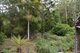 Photo - 170-170a Lower Bobo Road, Ulong NSW 2450 - Image 15