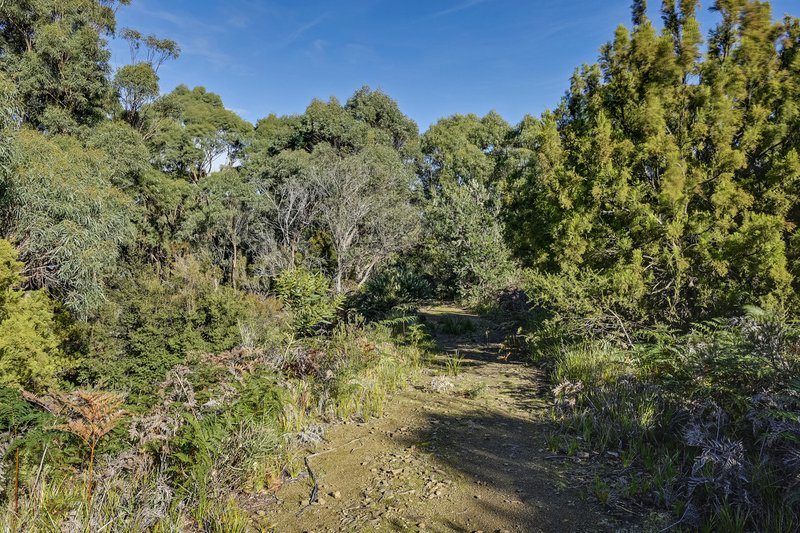 Photo - 170 Apex Point Road, White Beach TAS 7184 - Image 8