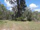 Photo - 170 Bottle Creek Road, Rosedale QLD 4674 - Image 24