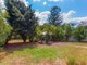 Photo - 170 Macrossan Avenue, Norman Park QLD 4170 - Image 6