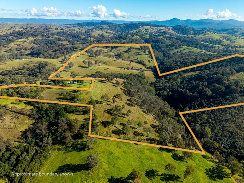 Photo - 170 Peak Hill Road, Bega NSW 2550 - Image 2