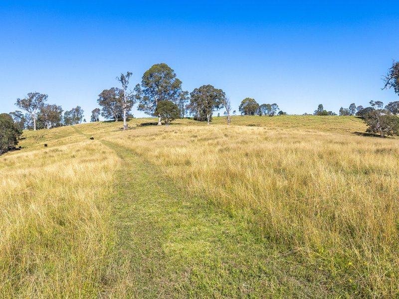 Photo - 170 Peak Hill Road, Bega NSW 2550 - Image 4