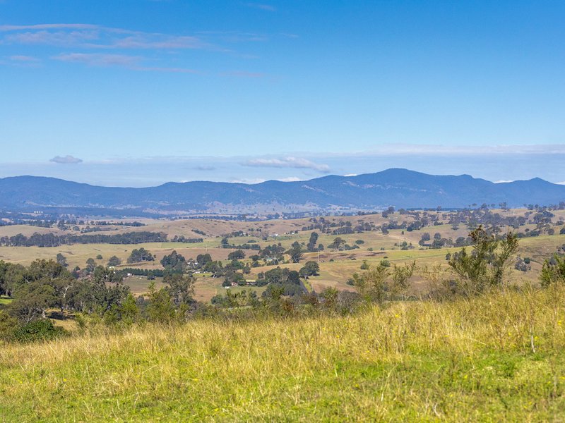 Photo - 170 Peak Hill Road, Bega NSW 2550 - Image 7