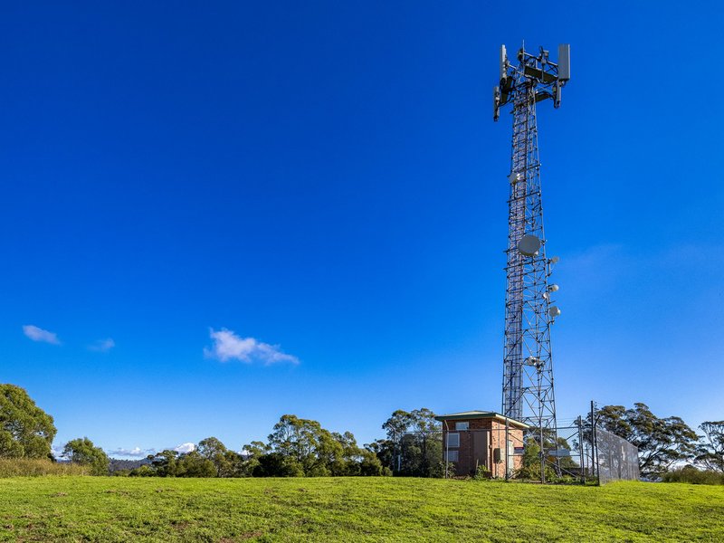 Photo - 170 Peak Hill Road, Bega NSW 2550 - Image 9