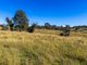 Photo - 170 Peak Hill Road, Bega NSW 2550 - Image 10