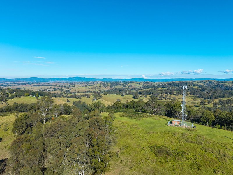 Photo - 170 Peak Hill Road, Bega NSW 2550 - Image 11