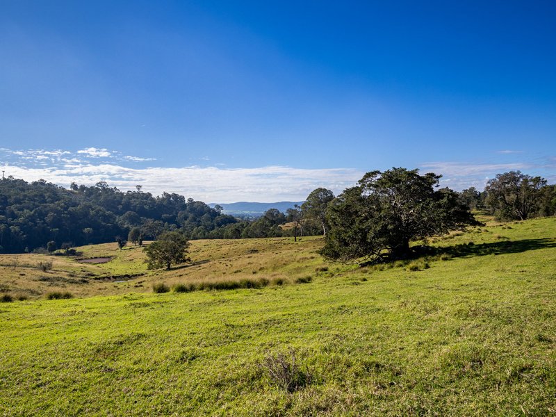 Photo - 170 Peak Hill Road, Bega NSW 2550 - Image 12