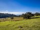 Photo - 170 Peak Hill Road, Bega NSW 2550 - Image 12