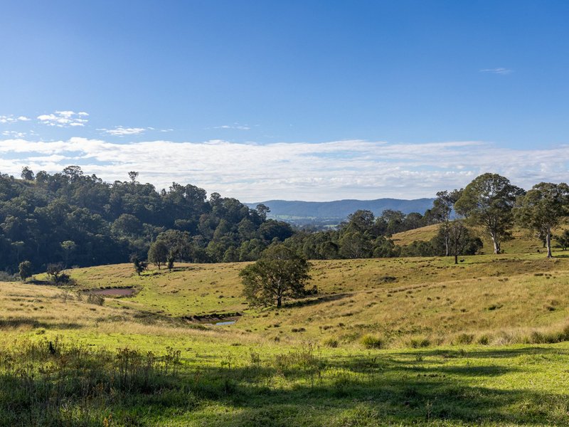 Photo - 170 Peak Hill Road, Bega NSW 2550 - Image 13