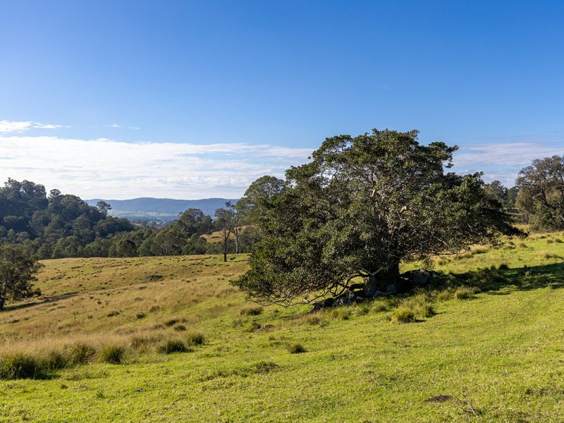 Photo - 170 Peak Hill Road, Bega NSW 2550 - Image 15