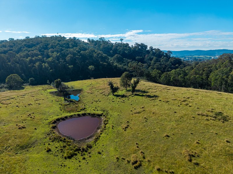 Photo - 170 Peak Hill Road, Bega NSW 2550 - Image 16