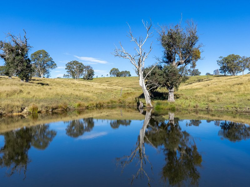 Photo - 170 Peak Hill Road, Bega NSW 2550 - Image 17