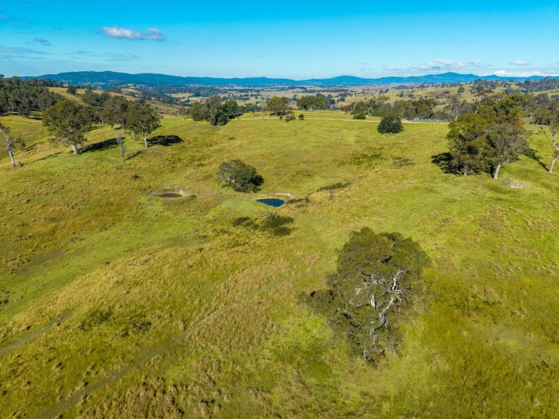 Photo - 170 Peak Hill Road, Bega NSW 2550 - Image 18