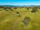 Photo - 170 Peak Hill Road, Bega NSW 2550 - Image 18