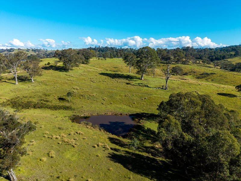 Photo - 170 Peak Hill Road, Bega NSW 2550 - Image 19