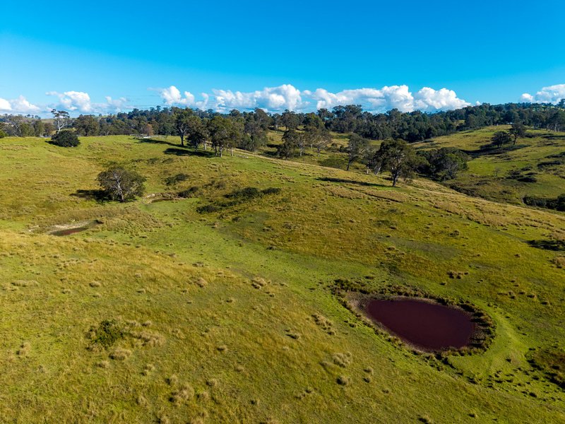 Photo - 170 Peak Hill Road, Bega NSW 2550 - Image 20
