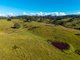 Photo - 170 Peak Hill Road, Bega NSW 2550 - Image 20