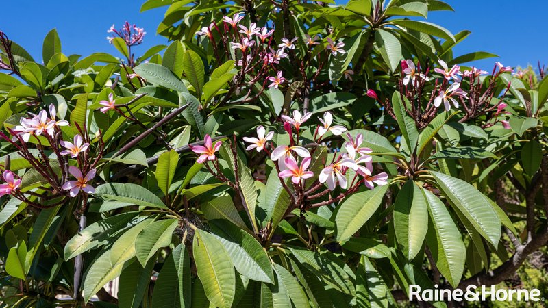 Photo - 170 Tooth Street, Warwick QLD 4370 - Image 31