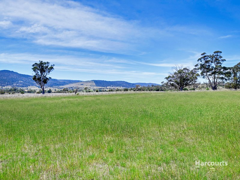 Photo - 170 Tullamore Road, Orielton TAS 7172 - Image 21