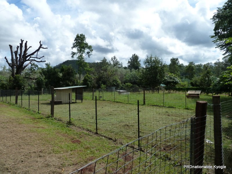 Photo - 1706 Afterlee Road, Kyogle NSW 2474 - Image 16