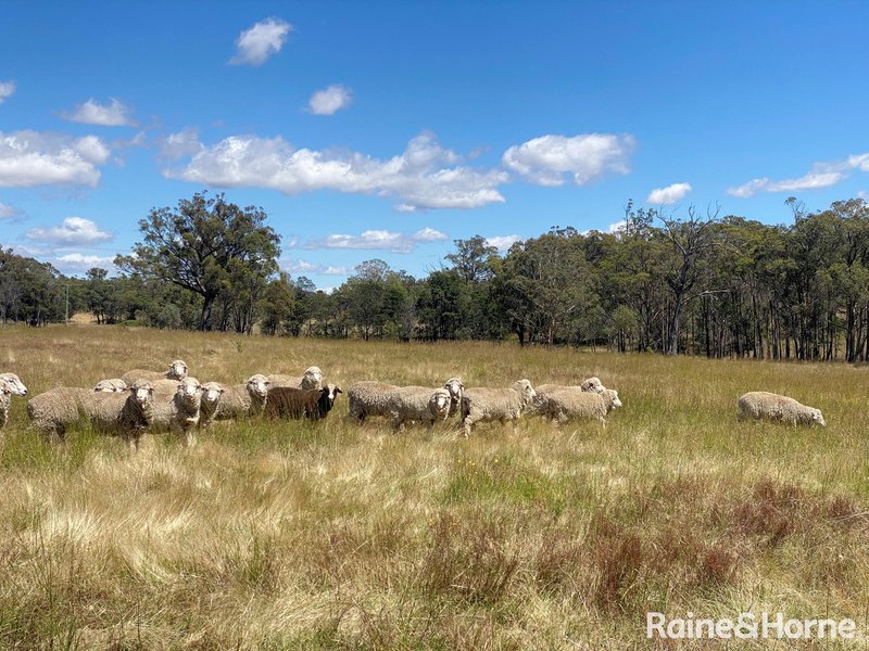 Photo - 171 Fernleigh Close Windellama Via , Goulburn NSW 2580 - Image 22