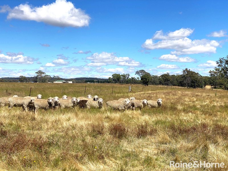 Photo - 171 Fernleigh Close Windellama Via , Goulburn NSW 2580 - Image 27