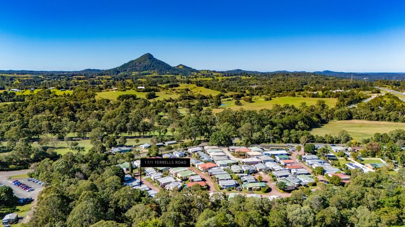 Photo - 17/1 Ferrells Road , Cooroy QLD 4563 - Image 3