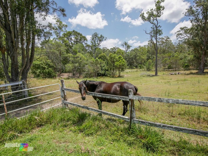 Photo - 1718 Anderleigh Road, Anderleigh QLD 4570 - Image 4