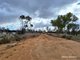 Photo - 17188 Great Eastern Highway, Kellerberrin WA 6410 - Image 12