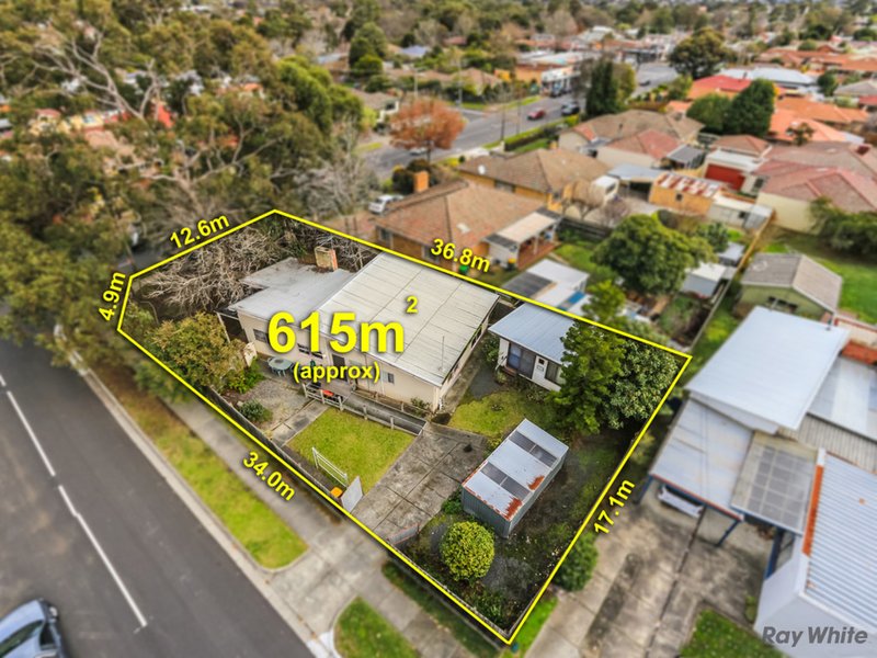 171A Springfield Road, Blackburn North VIC 3130