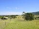 Photo - 171b Strongs Road, Berry NSW 2535 - Image 1