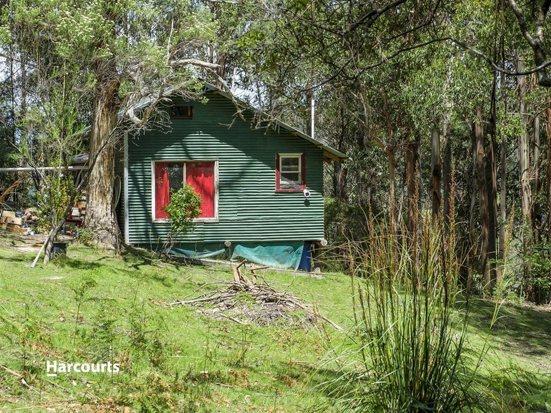 Photo - 172 Castle Forbes Road, Castle Forbes Bay TAS 7116 - Image 10