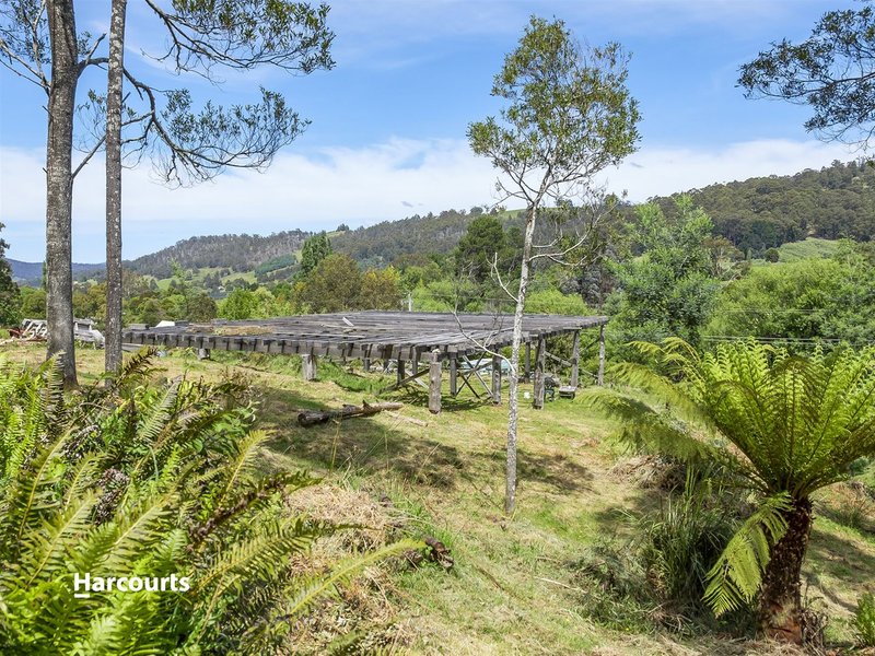 Photo - 172 Castle Forbes Road, Castle Forbes Bay TAS 7116 - Image 15